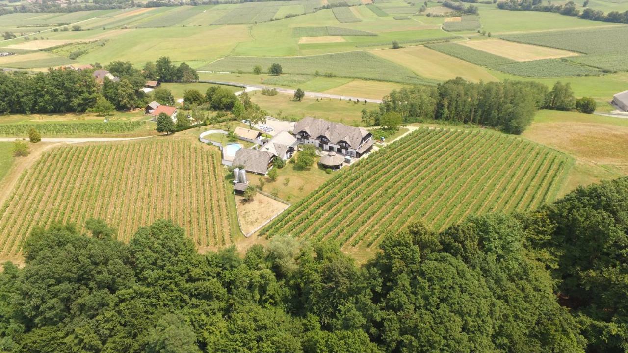 Villa Istenic Bizeljsko Kültér fotó